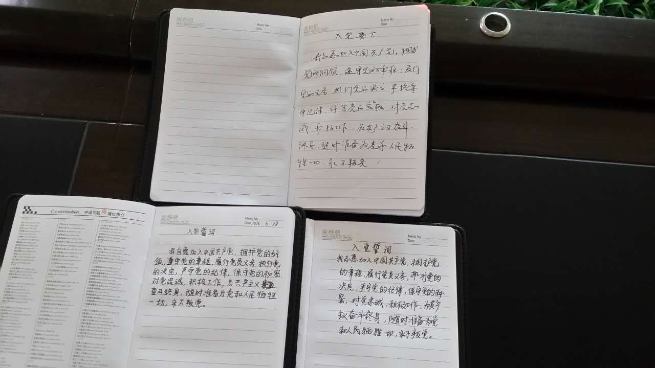 抄写誓言 抄写誓言