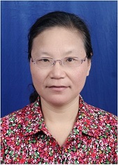 杨新玲 杨新玲